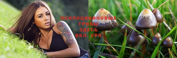 сатива Верея