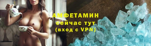 сатива Верея