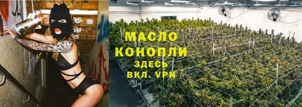 сатива Верея
