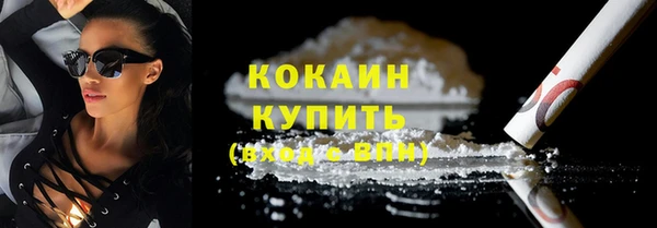 сатива Верея