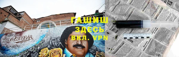 сатива Верея