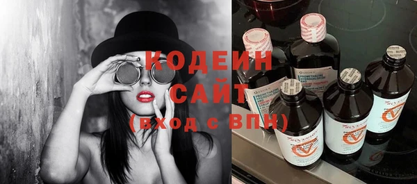 сатива Верея