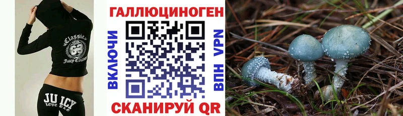 Галлюциногенные грибы GOLDEN TEACHER  Купить где  Юхнов 